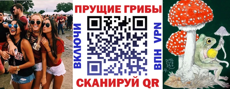 Псилоцибиновые грибы MAGIC MUSHROOMS  это какой сайт  Гаджиево 